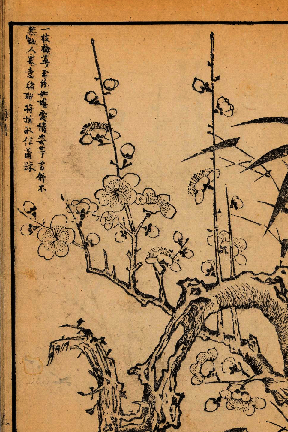 p1706550131_747type_jpeg_size_960_67_end