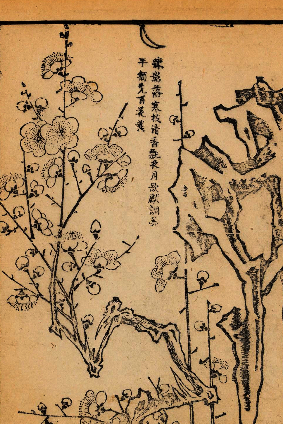 p1706550134_800type_jpeg_size_968_67_end