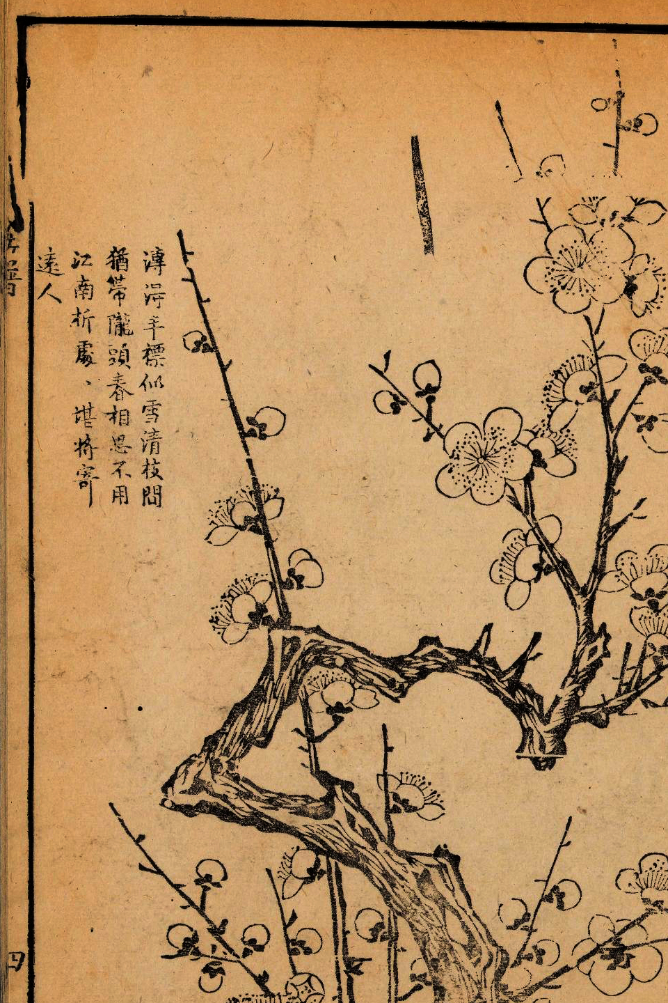 p1706550143_700type_jpeg_size_960_67_end