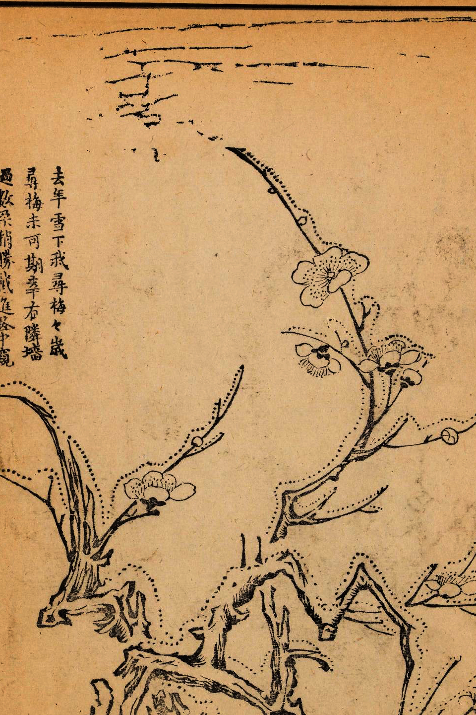 p1706550149_172type_jpeg_size_960_67_end