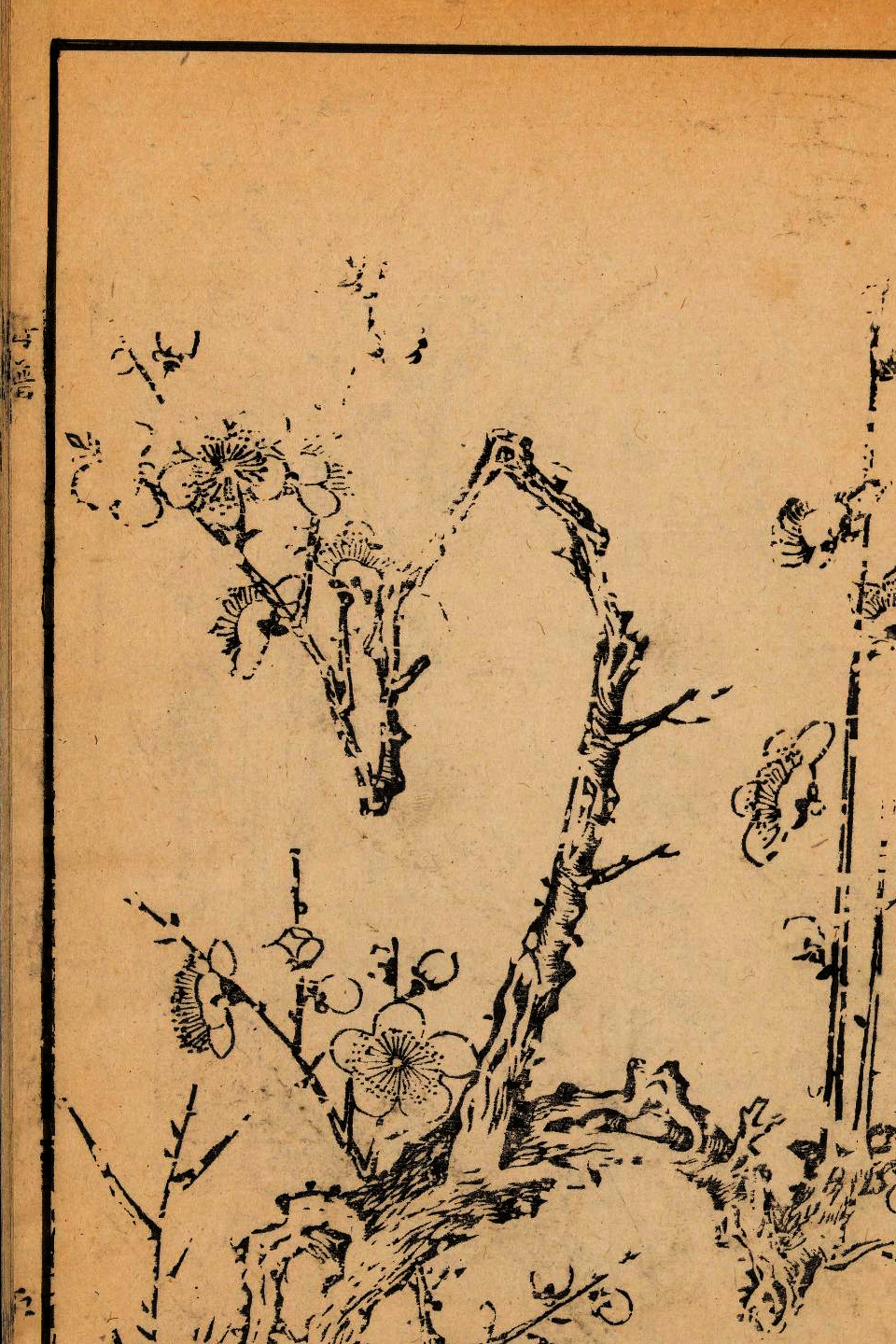 p1706550152_835type_jpeg_size_960_67_end