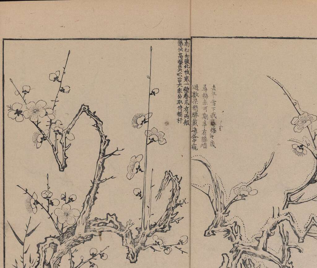 p1706550154_936type_jpeg_size_1600_119_end