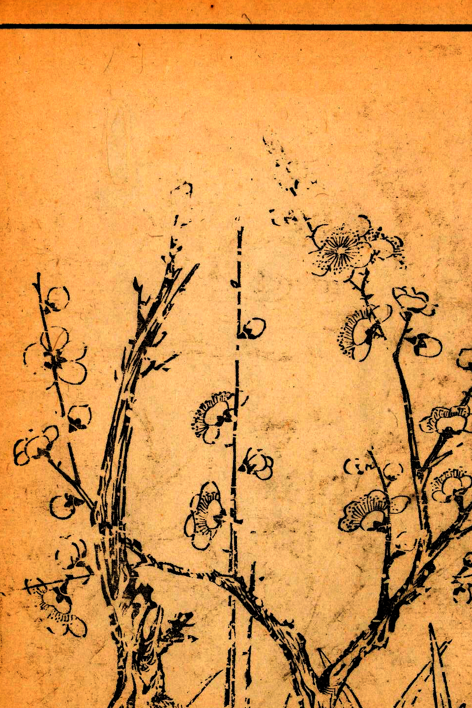 p1706550159_108type_jpeg_size_960_67_end