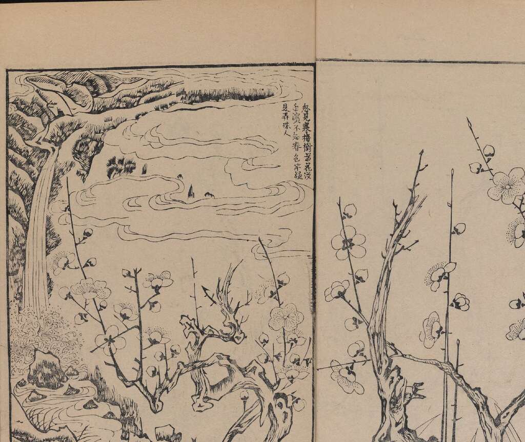 p1706550165_910type_jpeg_size_1600_119_end