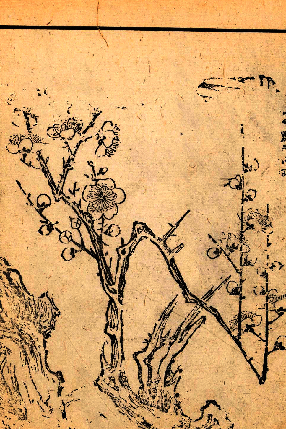 p1706550169_997type_jpeg_size_968_67_end