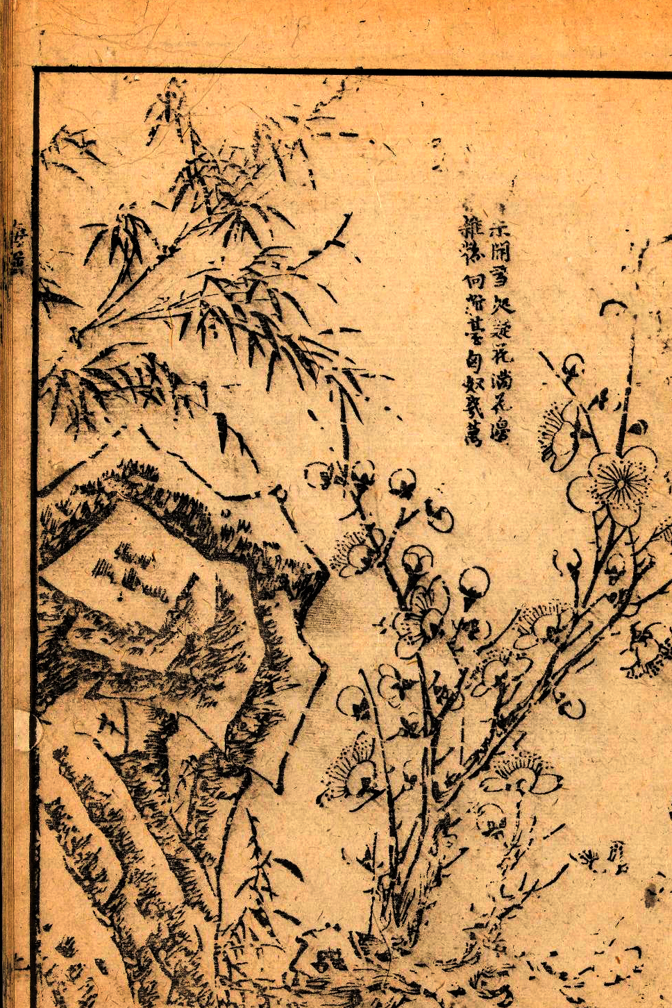 p1706550172_433type_jpeg_size_968_67_end