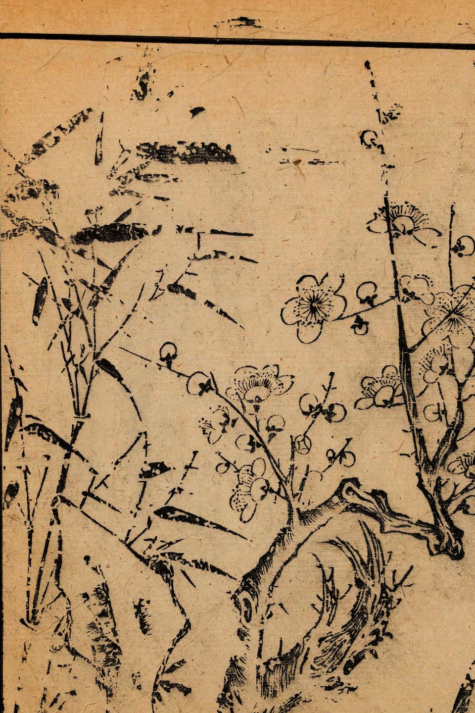 p1706550174_336type_jpeg_size_960_67_end