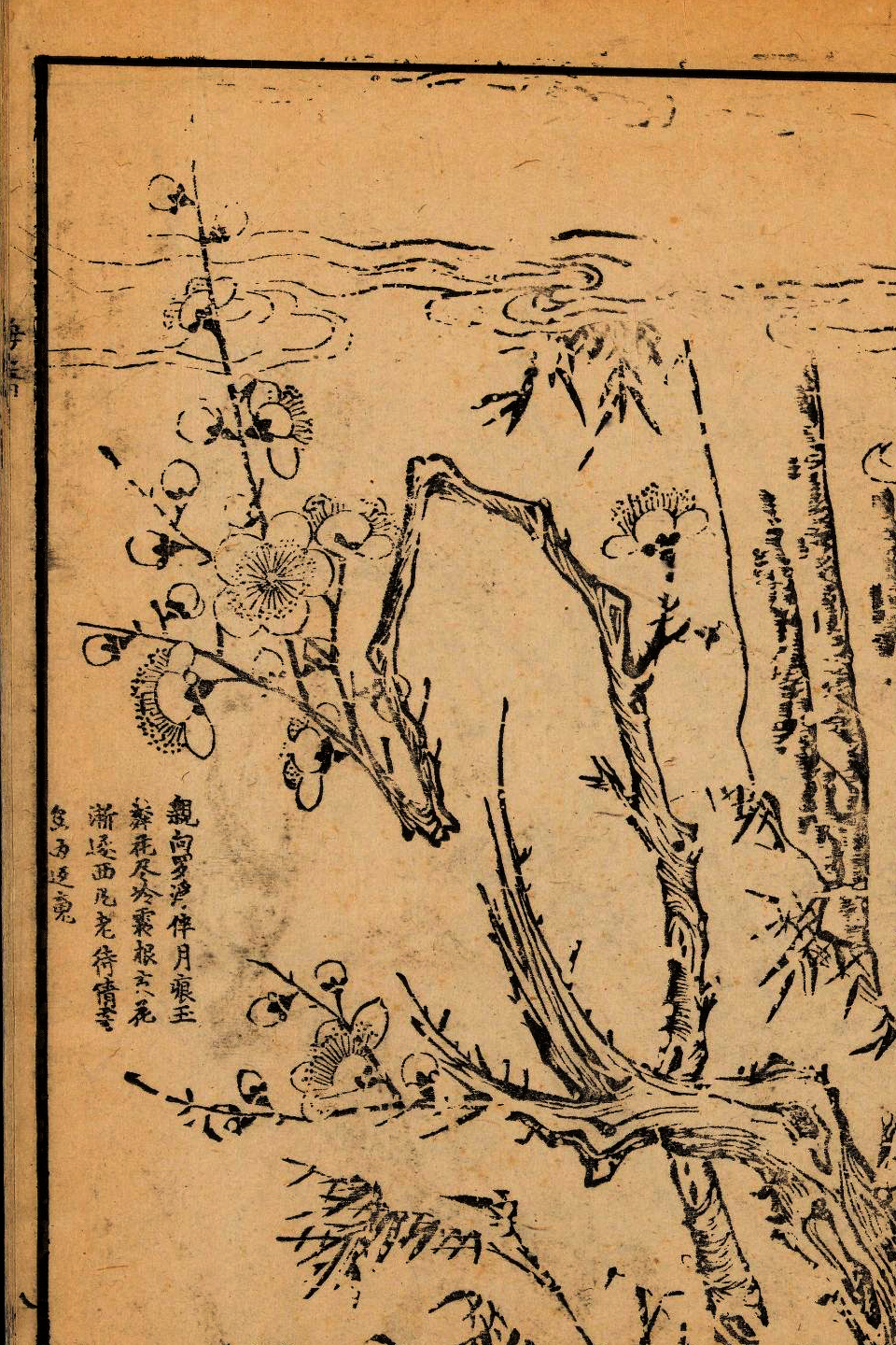 p1706550177_790type_jpeg_size_960_67_end