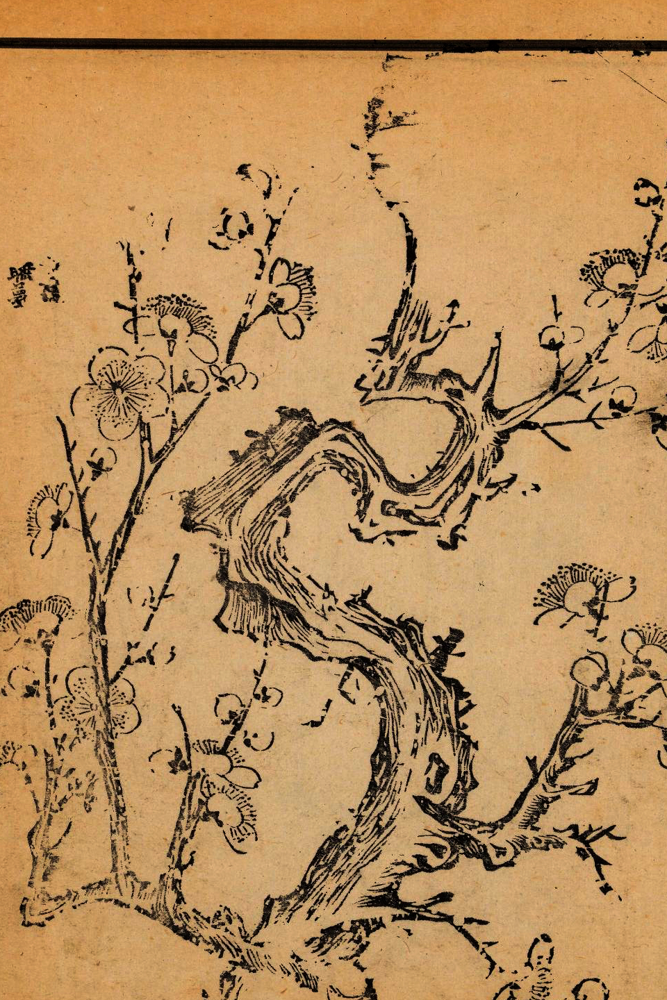 p1706550181_819type_jpeg_size_960_67_end