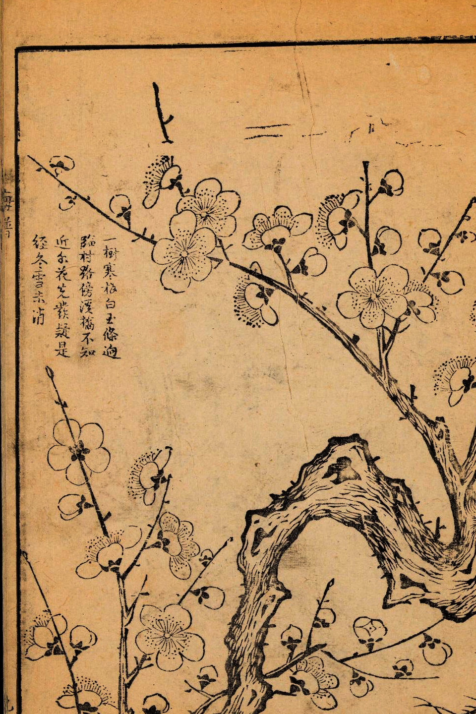 p1706550184_585type_jpeg_size_960_67_end