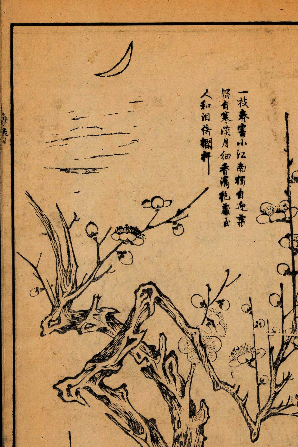 p1706550190_717type_jpeg_size_960_67_end