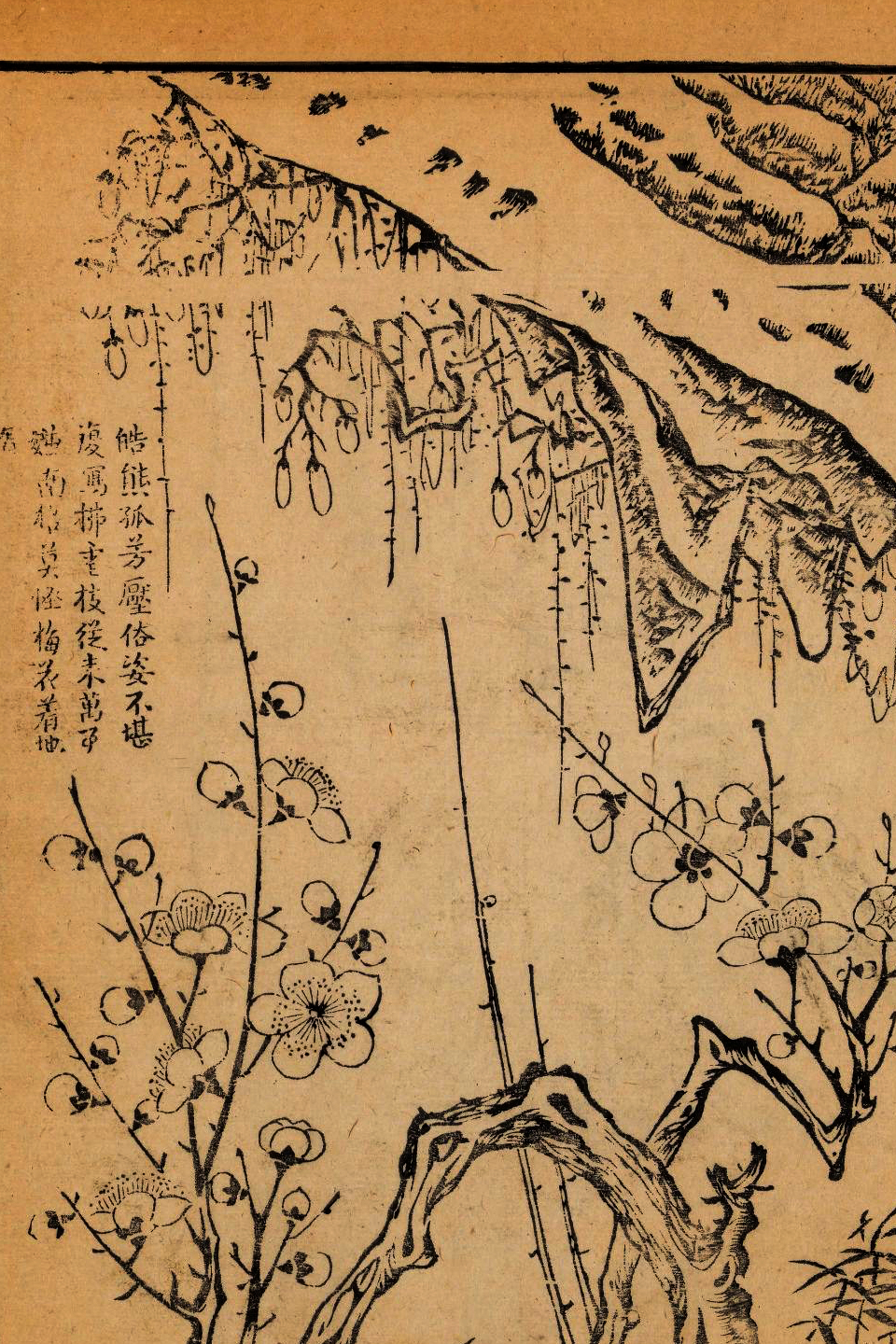 p1706550194_896type_jpeg_size_960_67_end