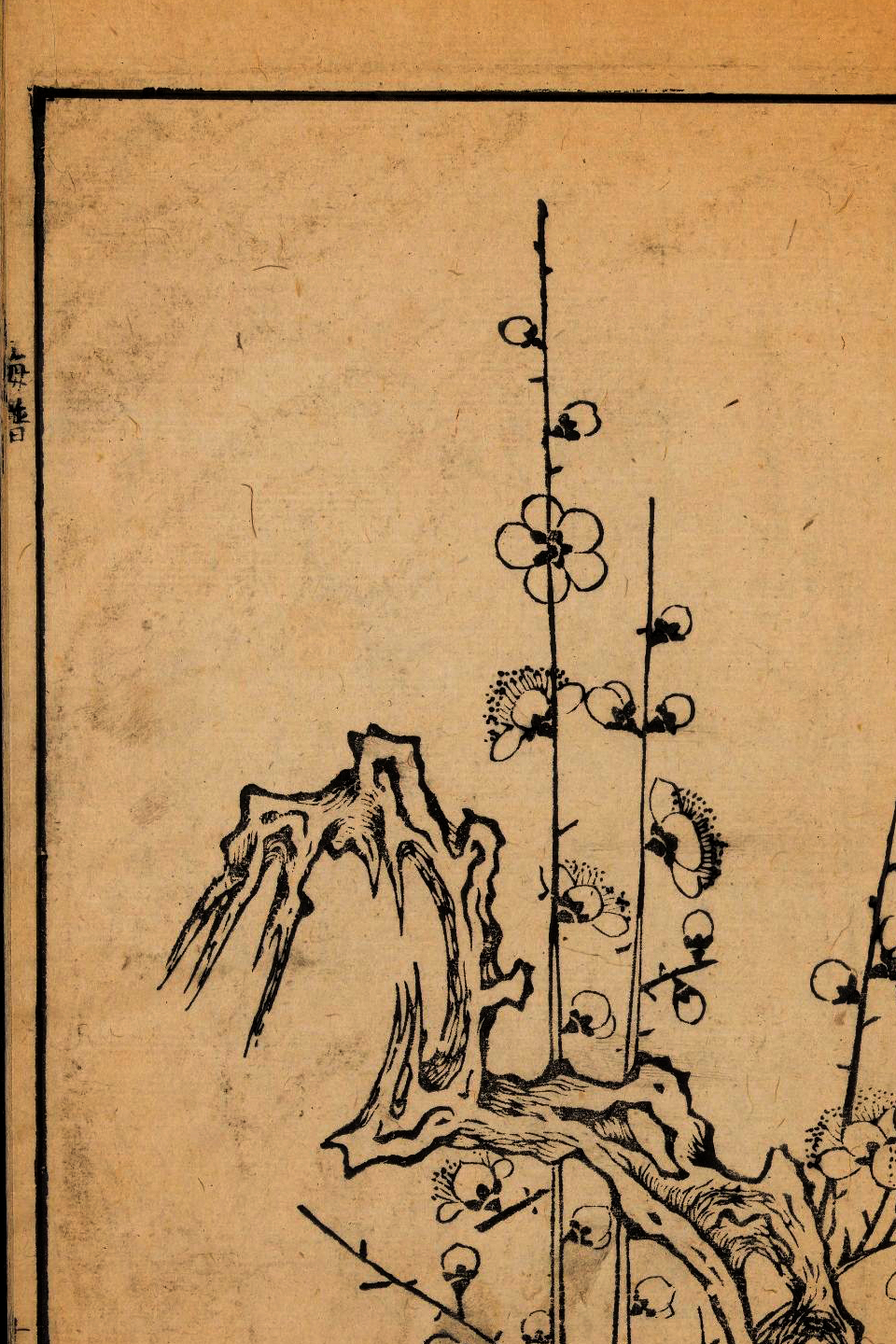 p1706550197_322type_jpeg_size_960_67_end