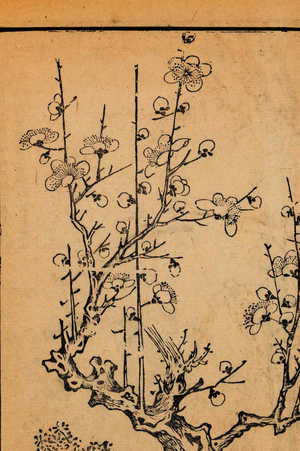 p1706550200_575type_jpeg_size_960_67_end