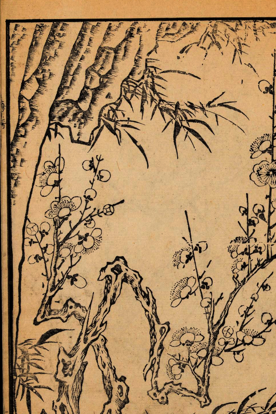 p1706550203_982type_jpeg_size_960_67_end