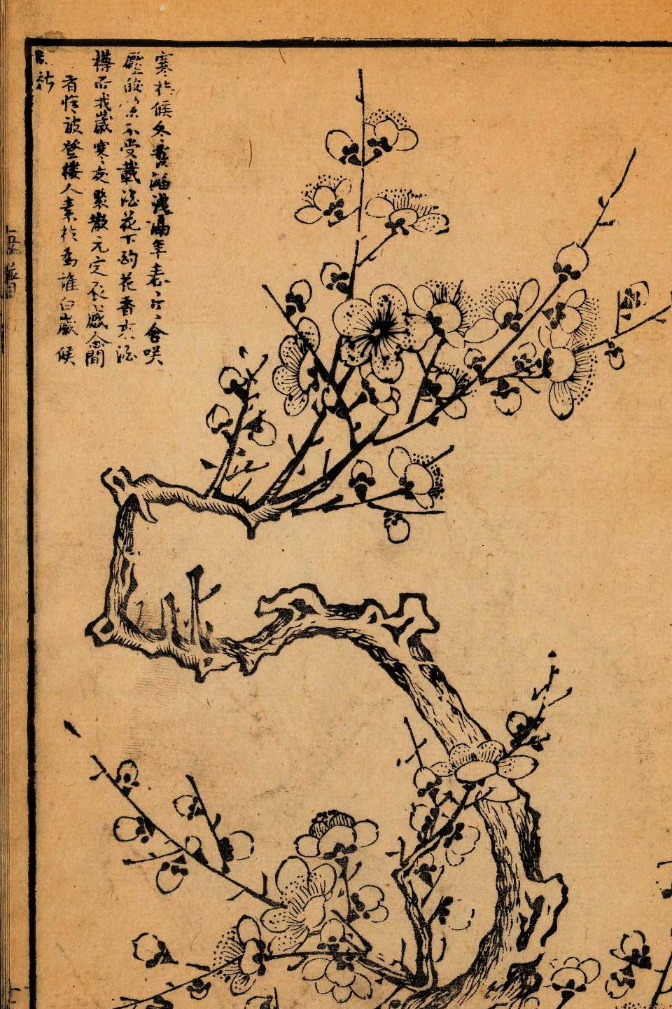 p1706550209_484type_jpeg_size_960_67_end