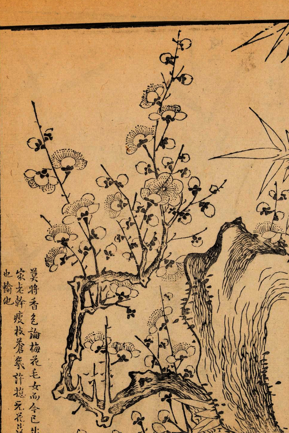 p1706550212_988type_jpeg_size_960_67_end