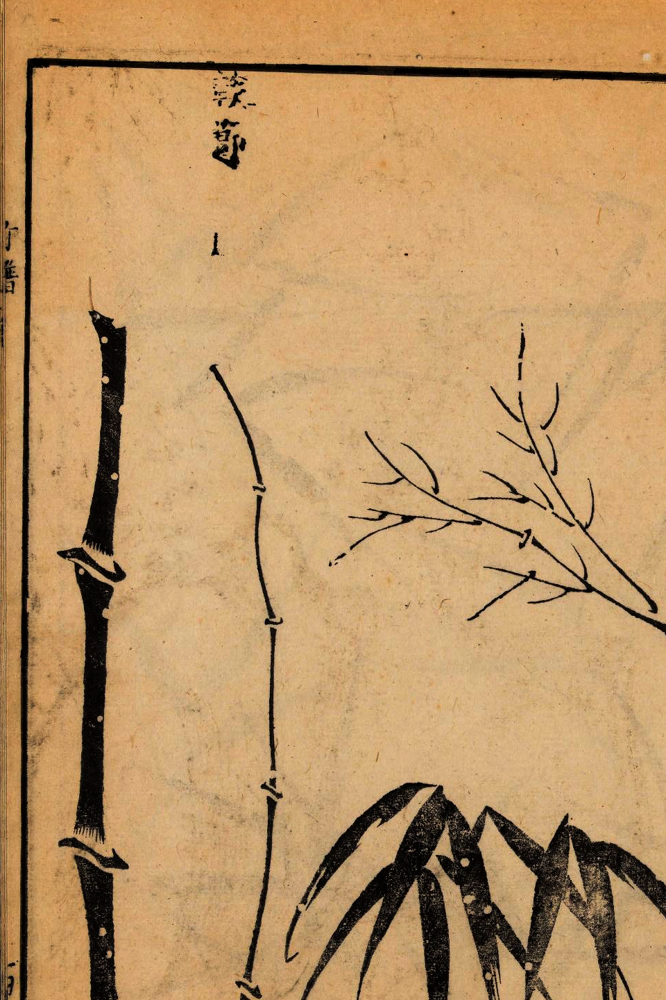 p1706550217_216type_jpeg_size_960_67_end