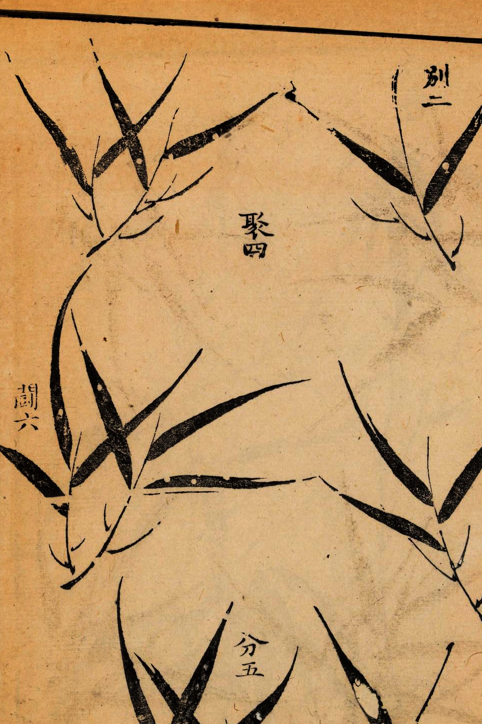 p1706550222_434type_jpeg_size_960_67_end