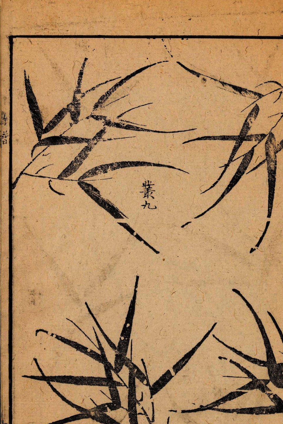 p1706550226_997type_jpeg_size_960_67_end