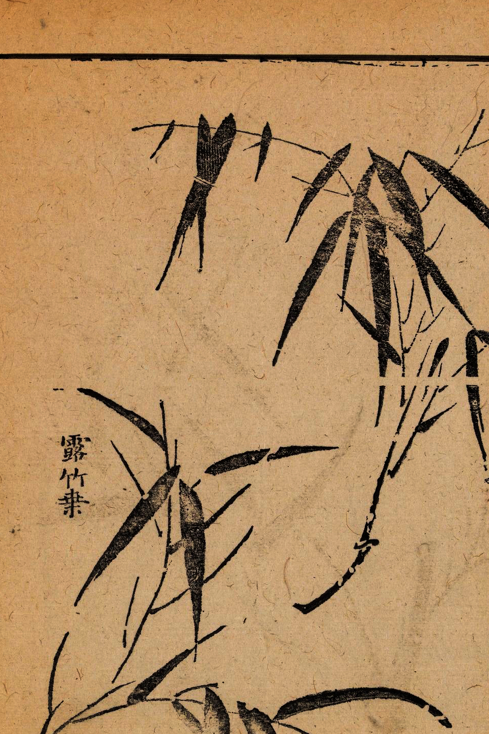 p1706550229_626type_jpeg_size_960_67_end