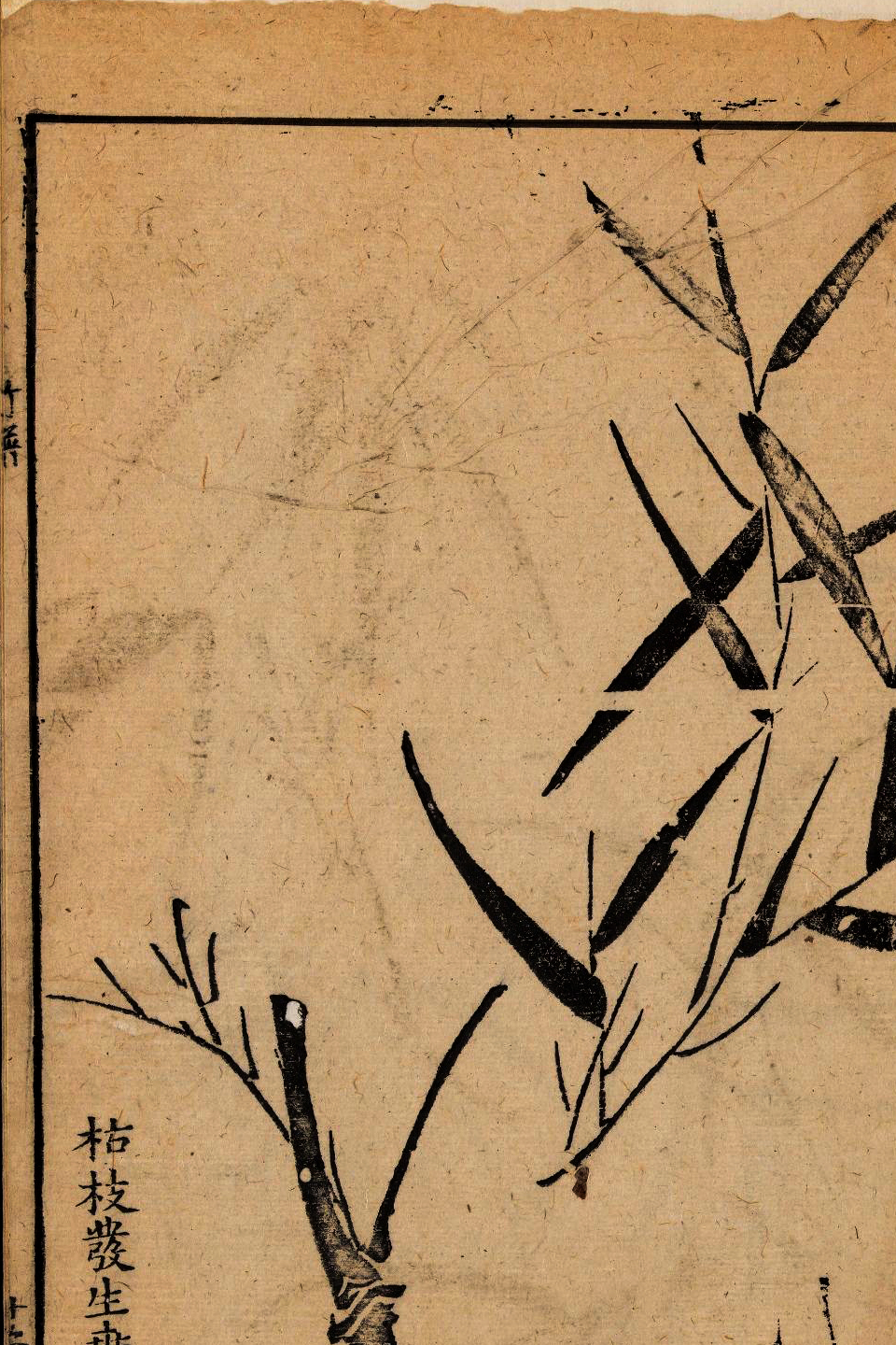 p1706550231_842type_jpeg_size_960_67_end