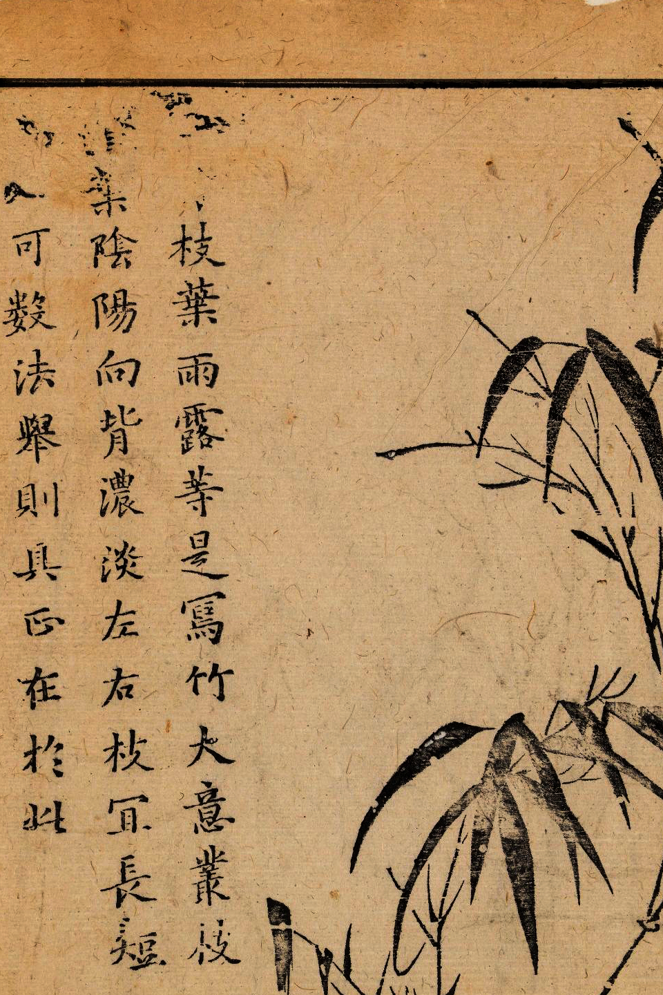 p1706550233_763type_jpeg_size_960_67_end