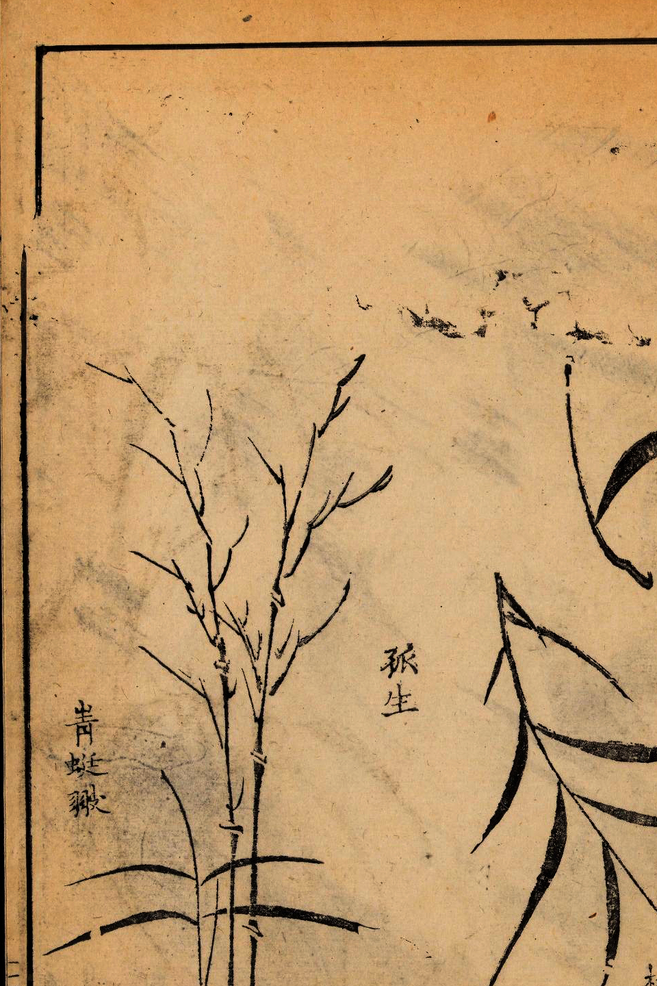 p1706550236_162type_jpeg_size_960_67_end