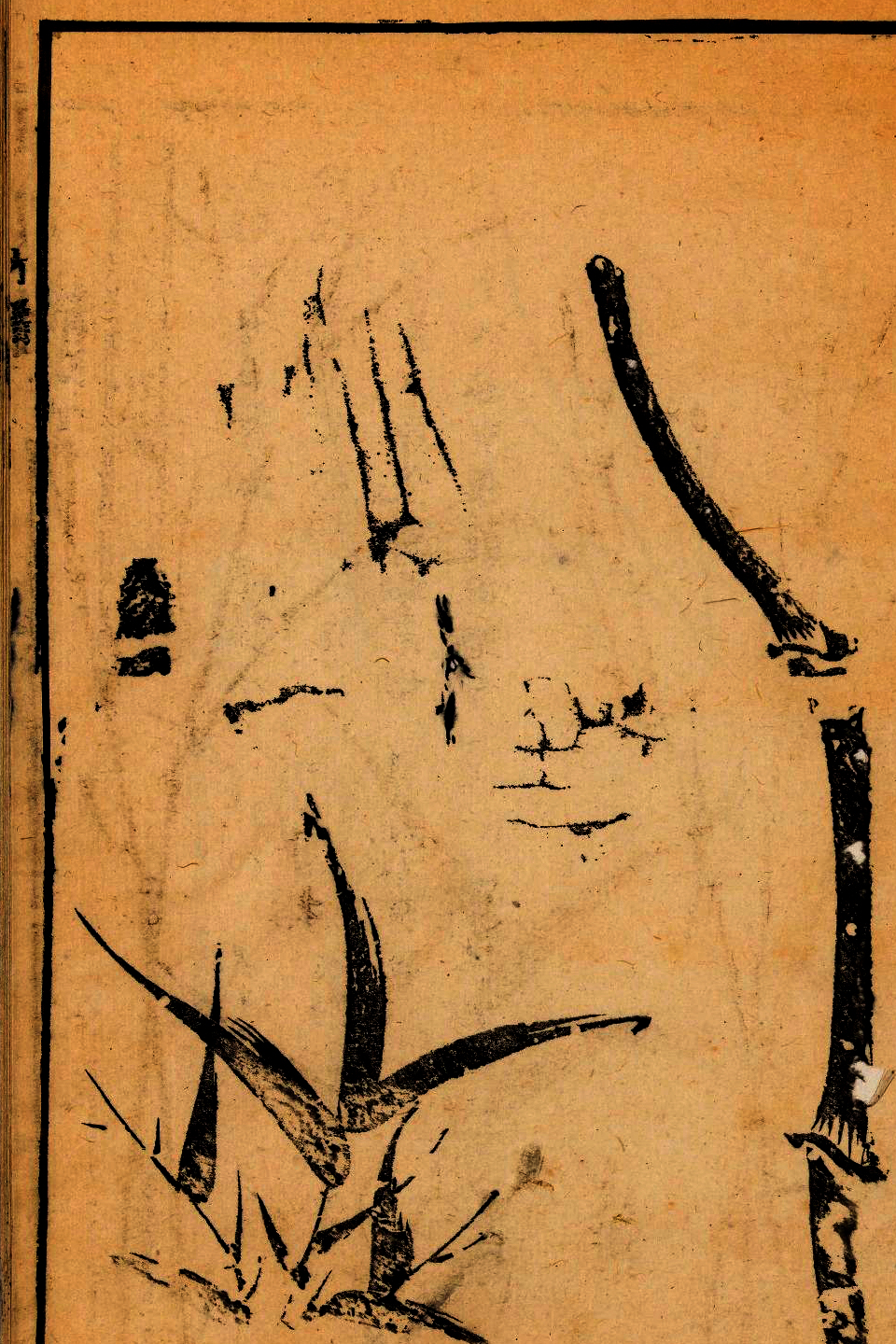 p1706550250_994type_jpeg_size_960_67_end