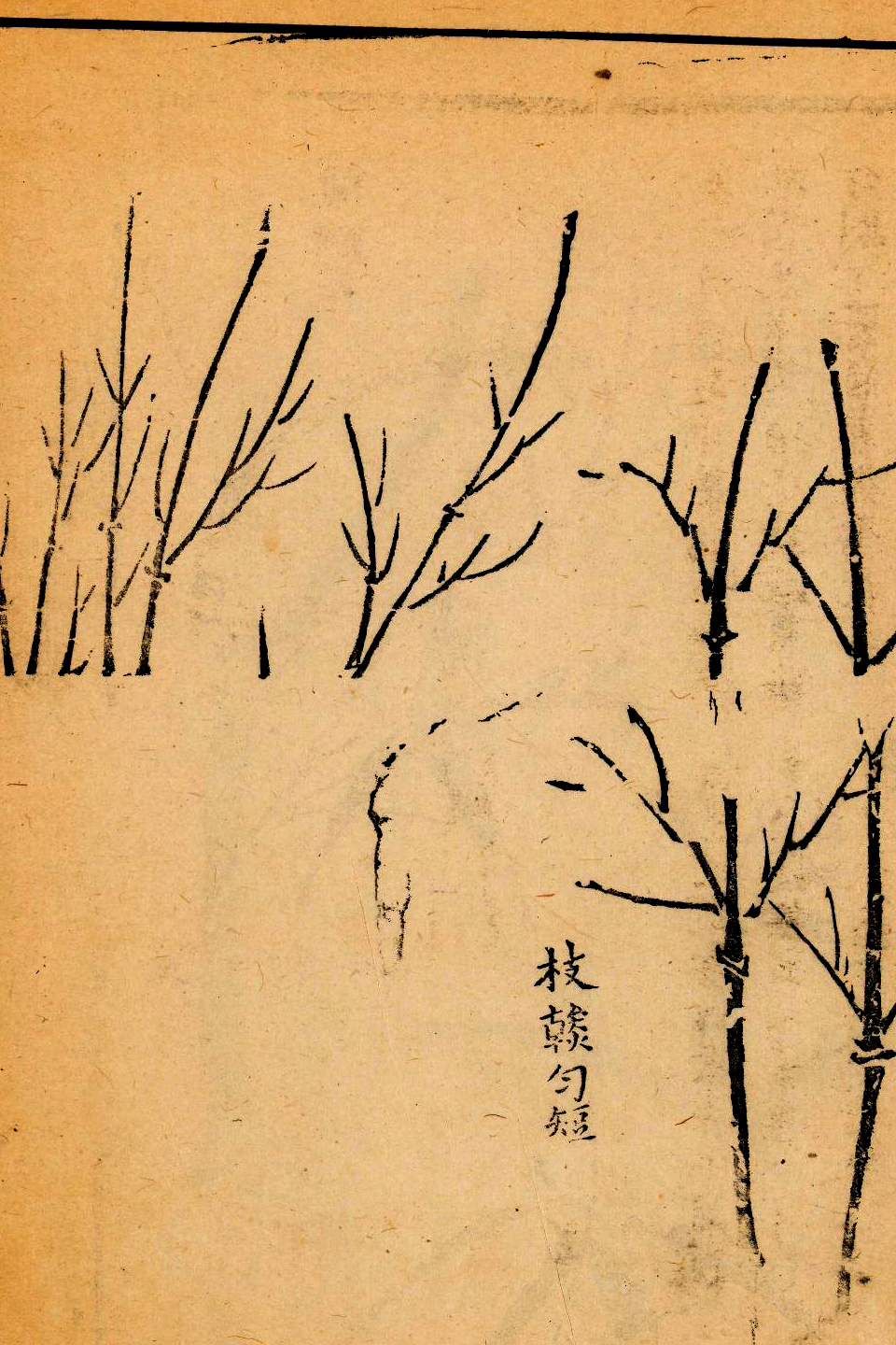 p1706550257_574type_jpeg_size_960_67_end