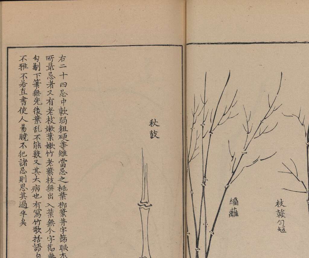 p1706550266_854type_jpeg_size_1600_119_end