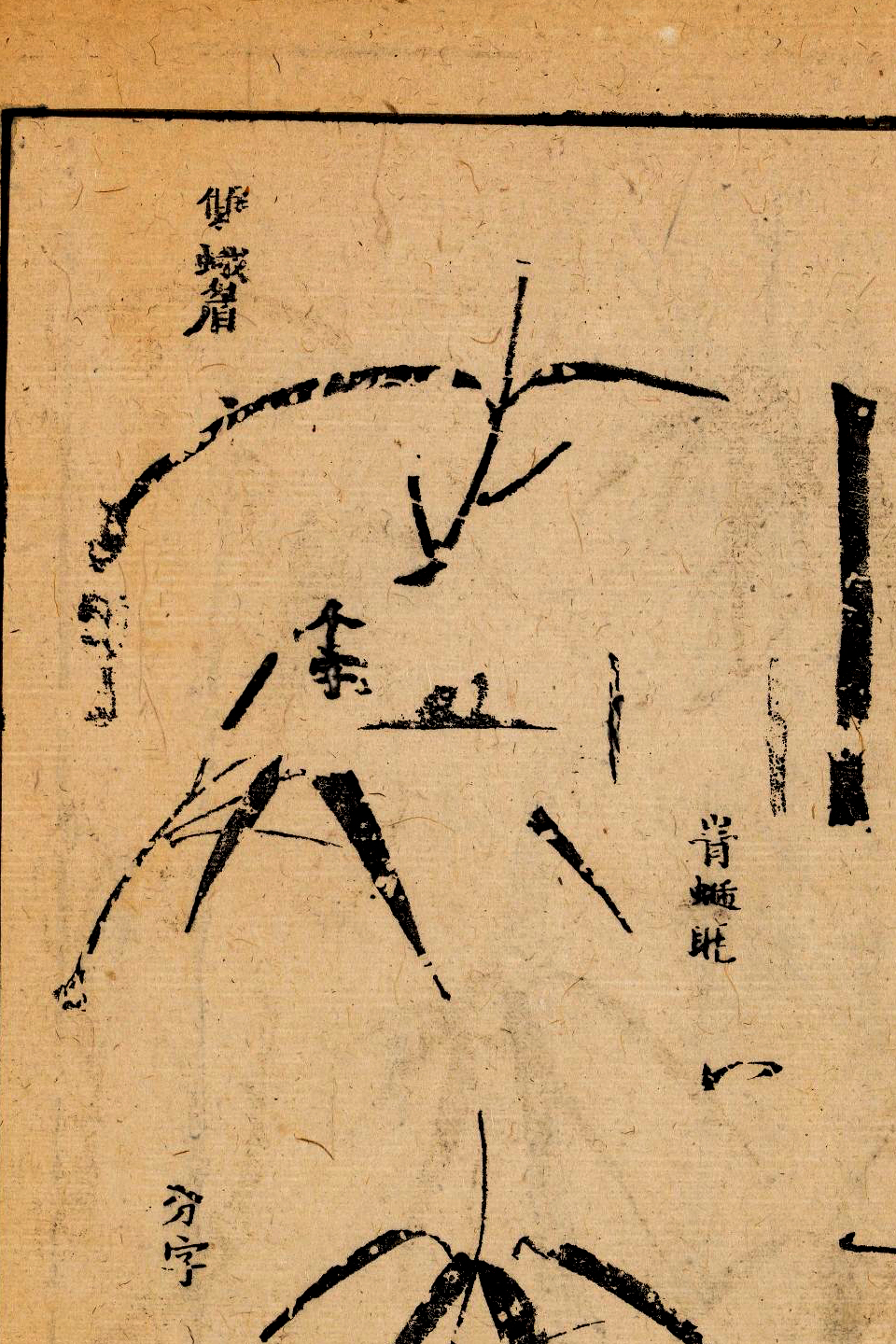 p1706550269_821type_jpeg_size_960_67_end