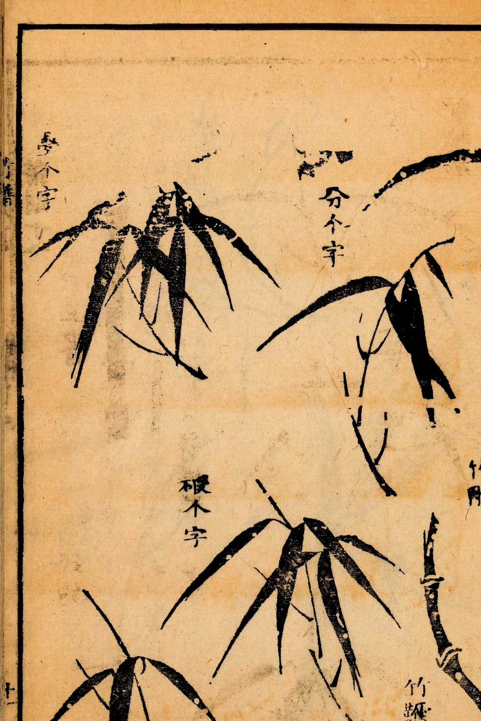 p1706550272_881type_jpeg_size_960_67_end