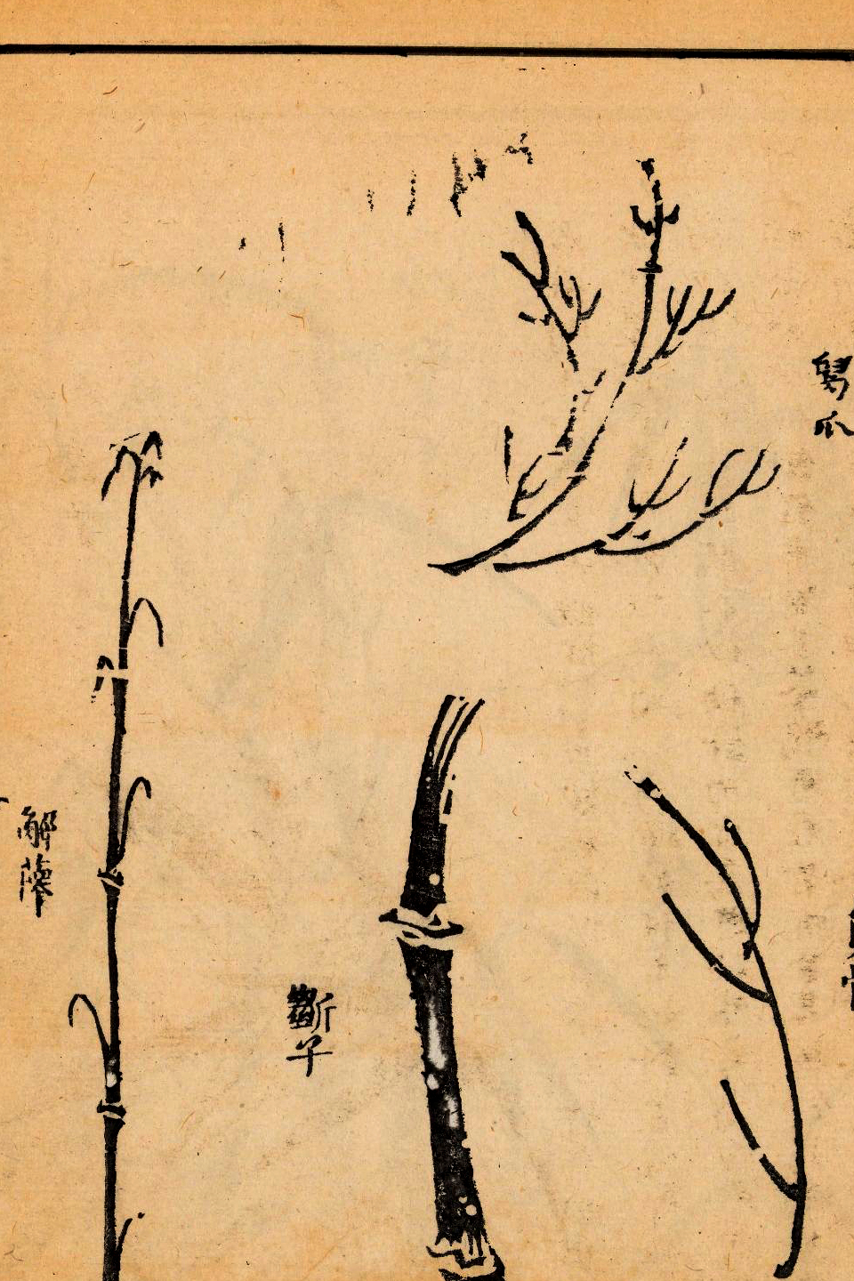 p1706550274_665type_jpeg_size_960_67_end