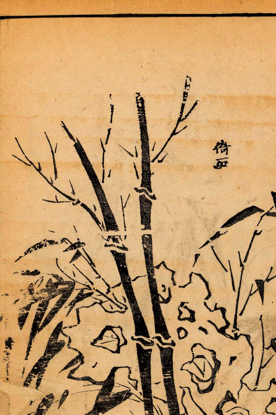 p1706550279_752type_jpeg_size_960_67_end