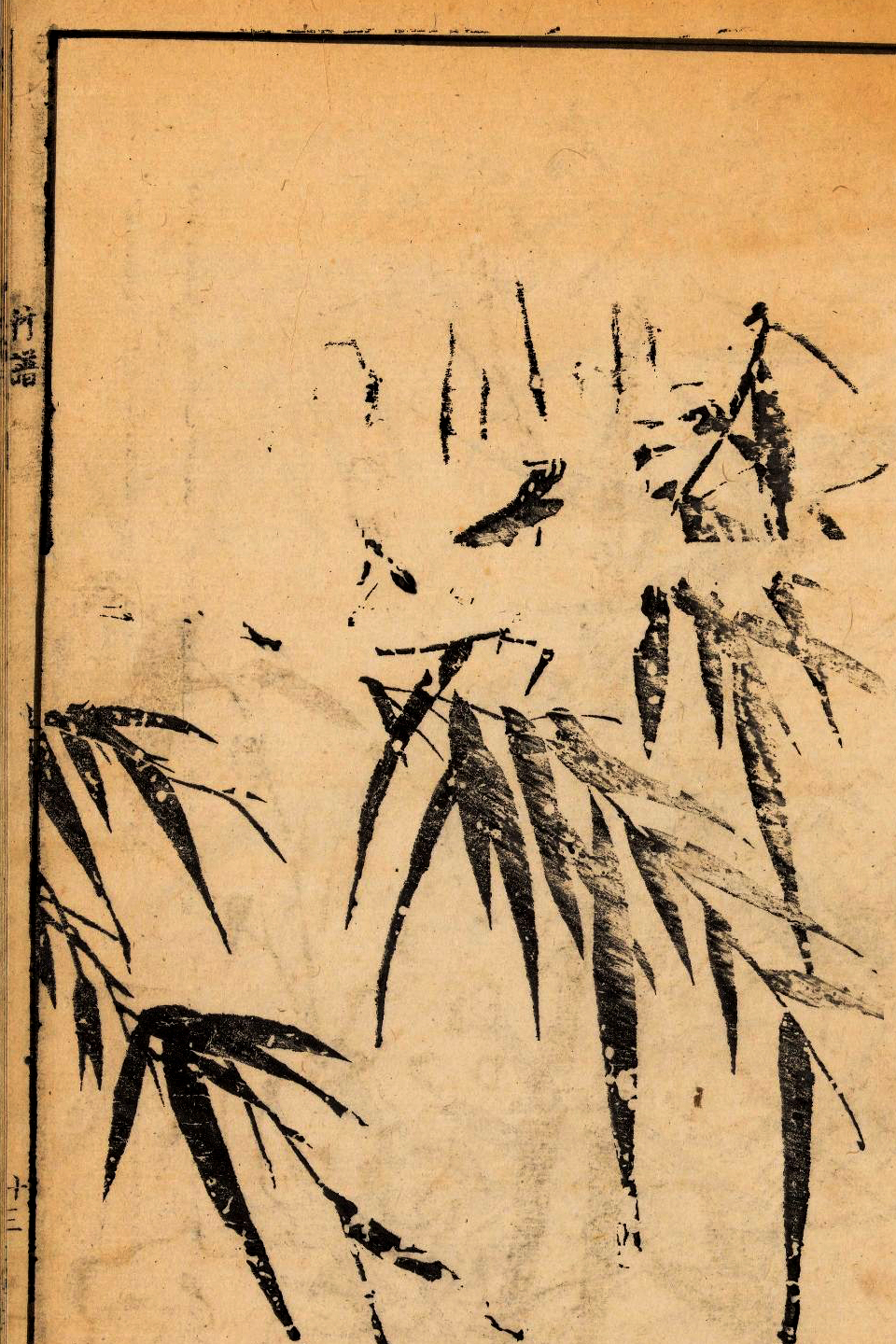 p1706550282_884type_jpeg_size_960_67_end