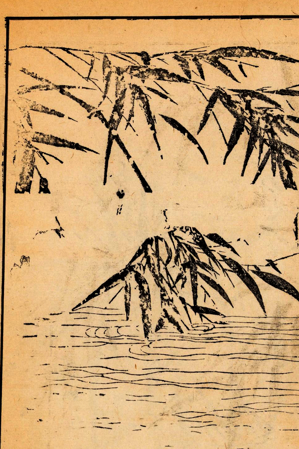 p1706550286_807type_jpeg_size_960_67_end