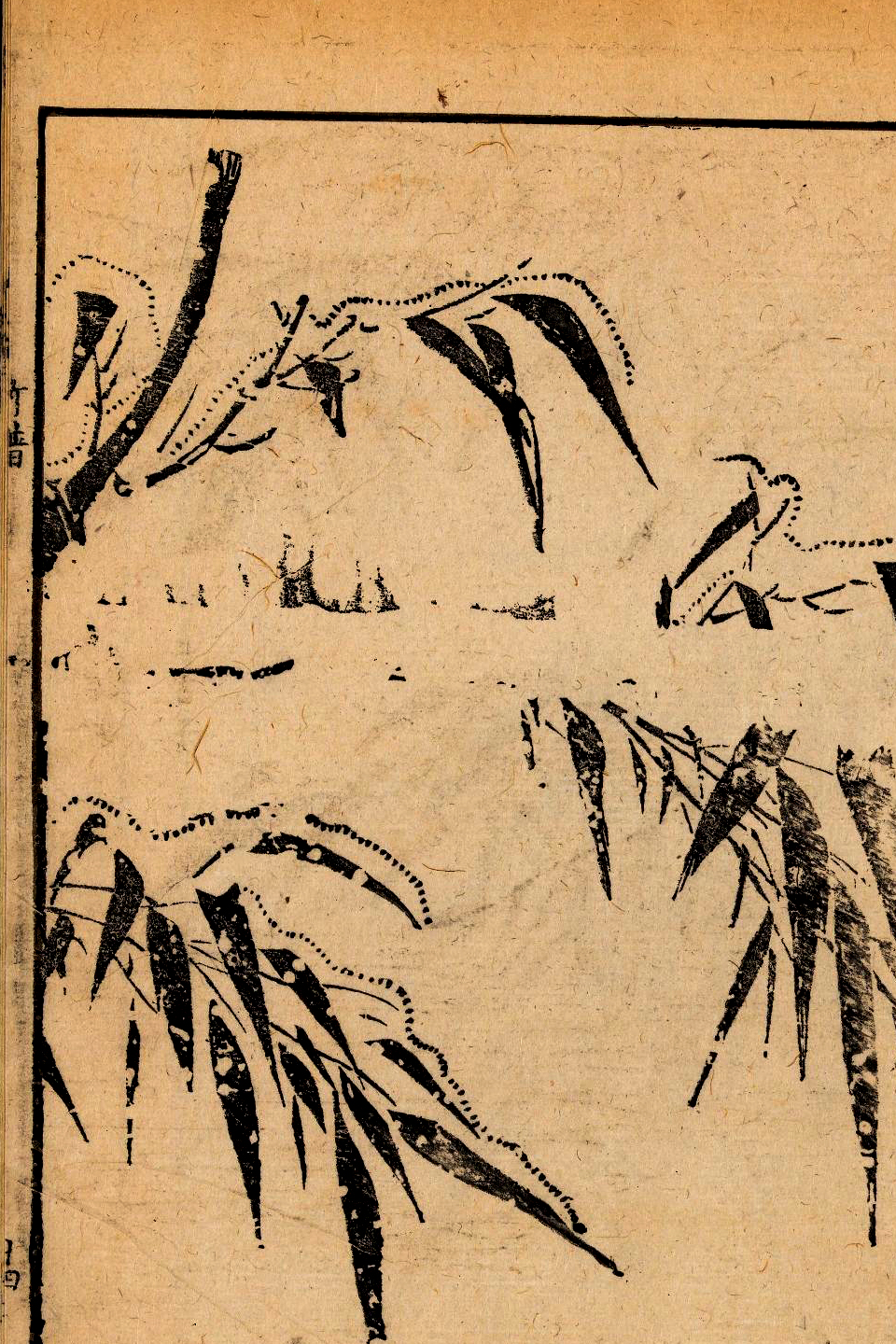 p1706550291_977type_jpeg_size_960_67_end