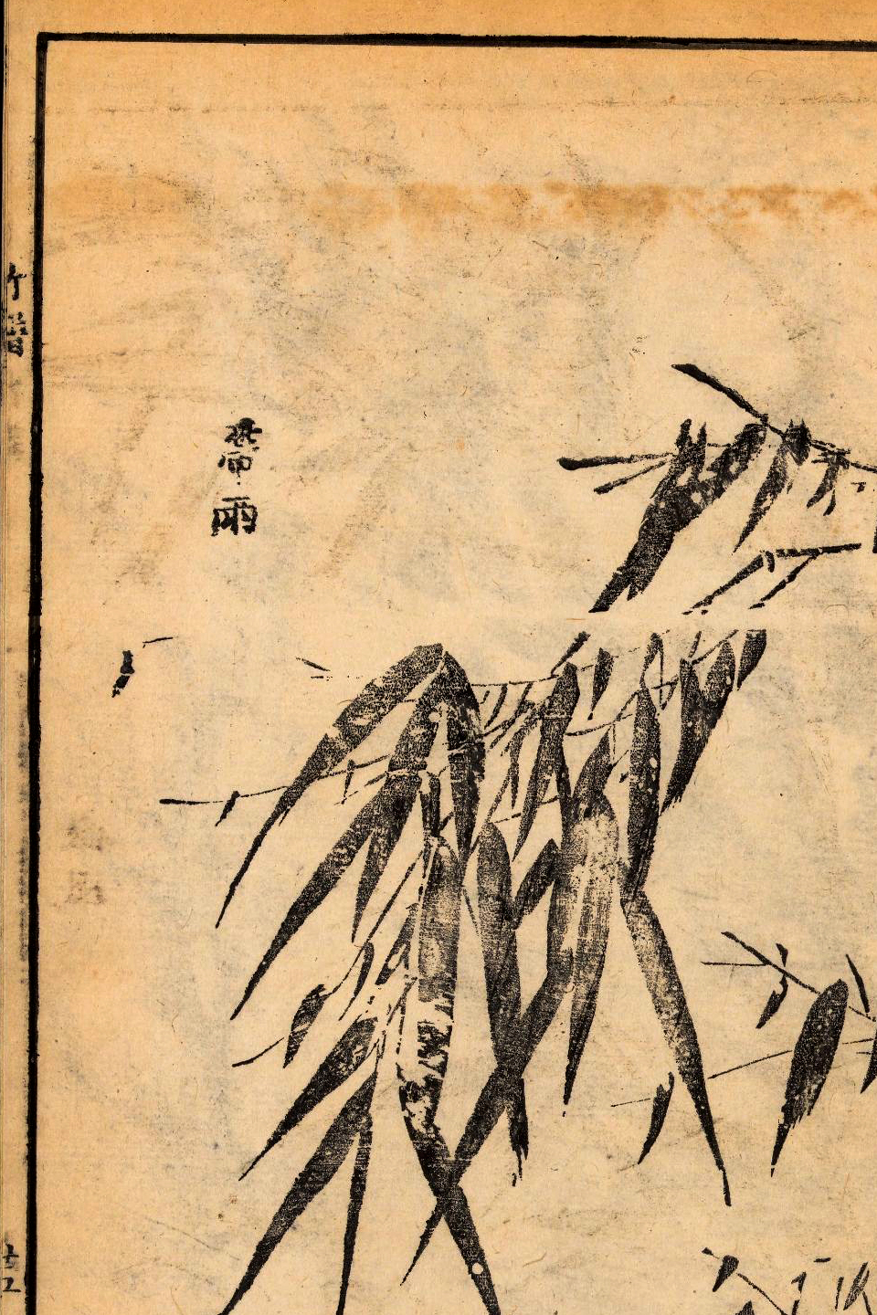 p1706550296_709type_jpeg_size_960_67_end