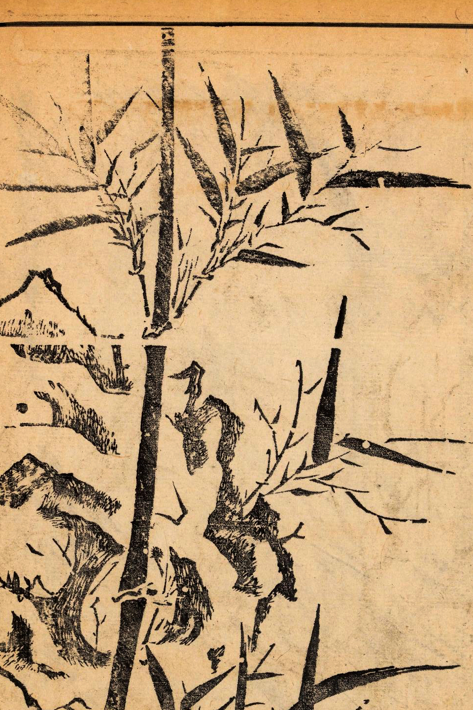 p1706550298_354type_jpeg_size_960_67_end