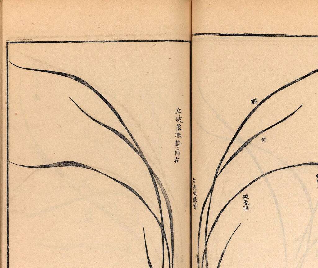 p1706550313_529type_jpeg_size_1600_118_end