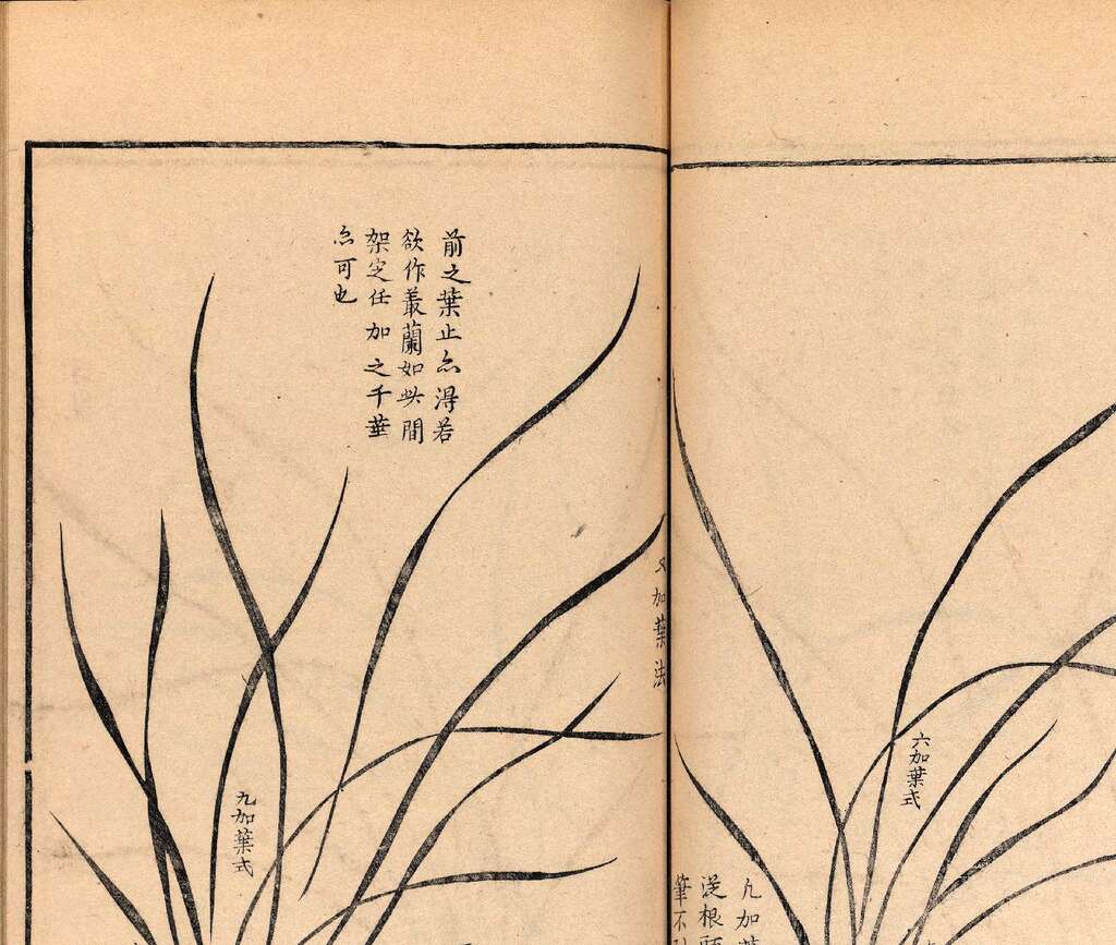 p1706550324_665type_jpeg_size_1600_118_end