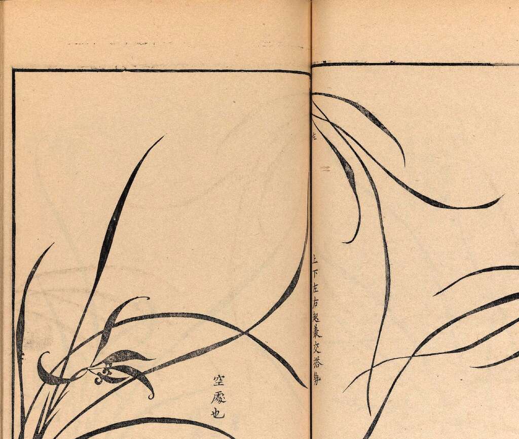 p1706550327_564type_jpeg_size_1600_118_end