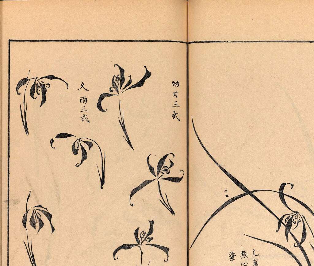 p1706550330_219type_jpeg_size_1600_118_end