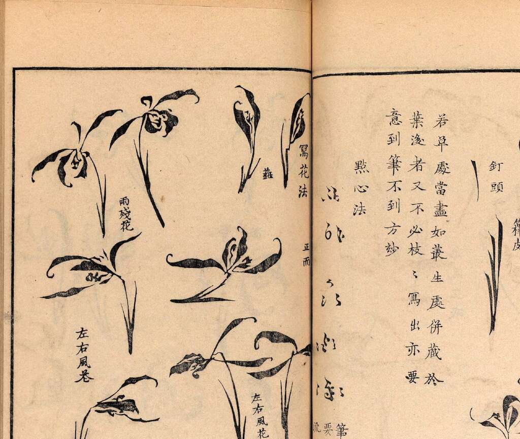 p1706550342_507type_jpeg_size_1600_118_end