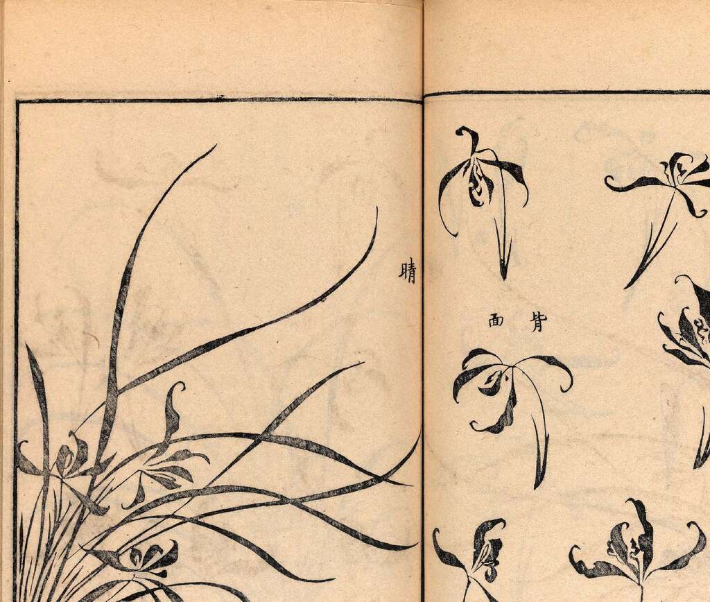 p1706550345_401type_jpeg_size_1600_118_end