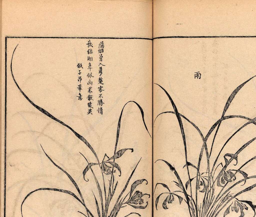 p1706550349_718type_jpeg_size_1600_118_end