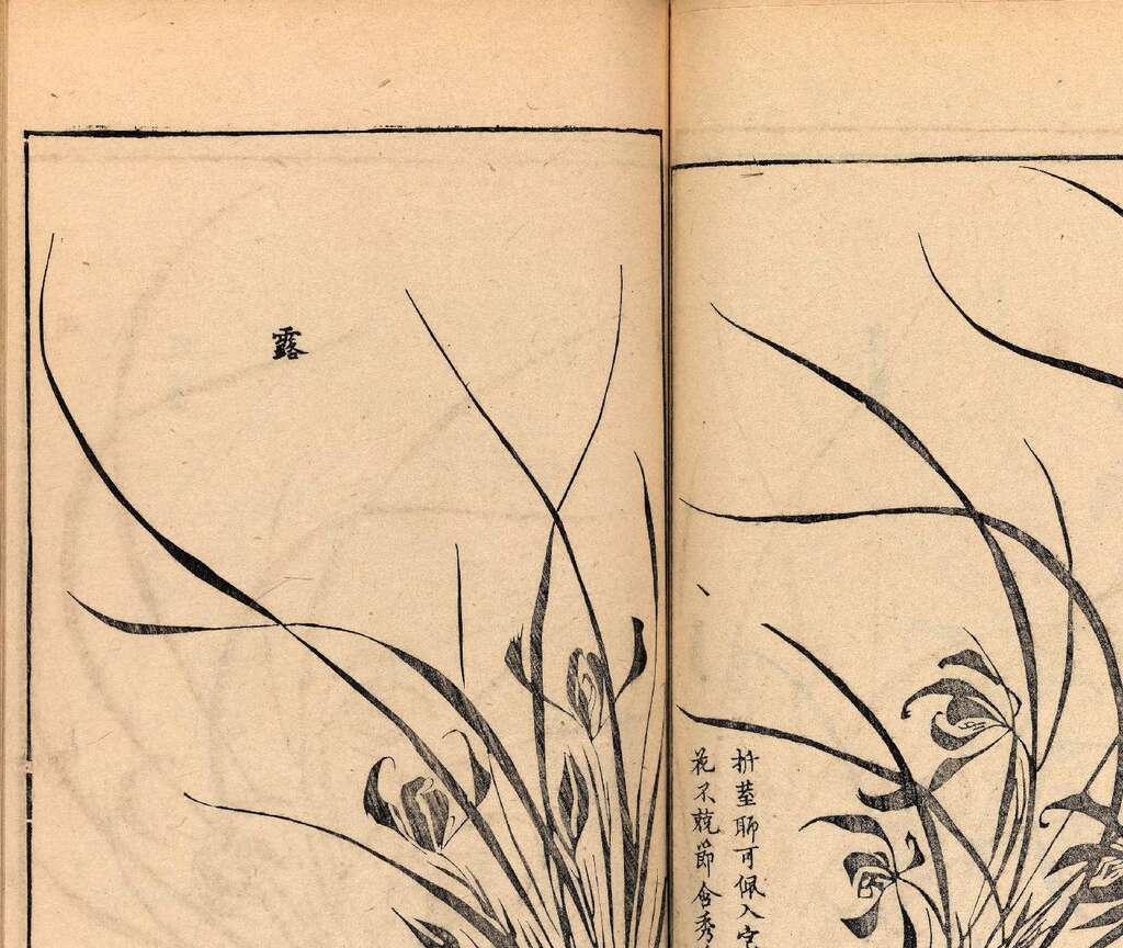 p1706550358_326type_jpeg_size_1600_119_end