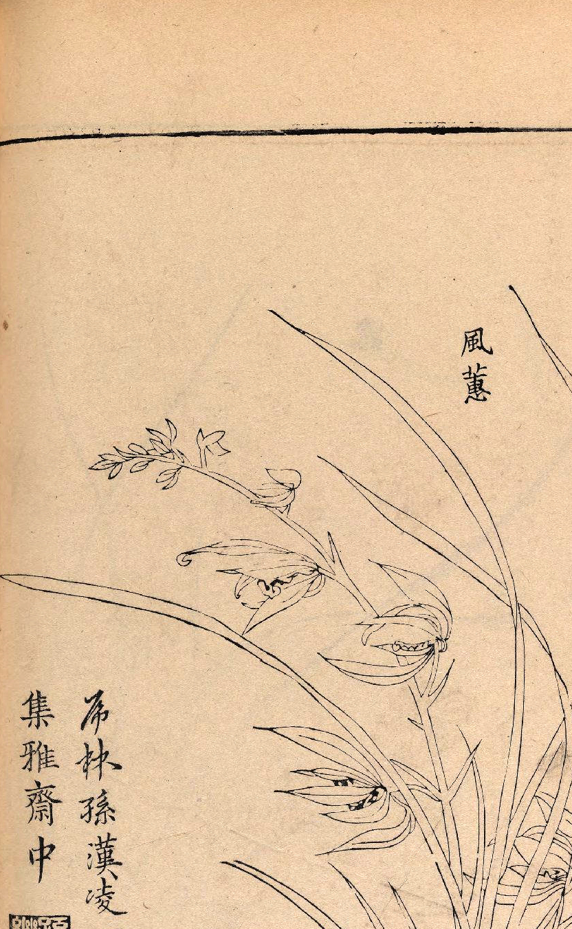 p1706550368_293type_jpeg_size_832_62_end