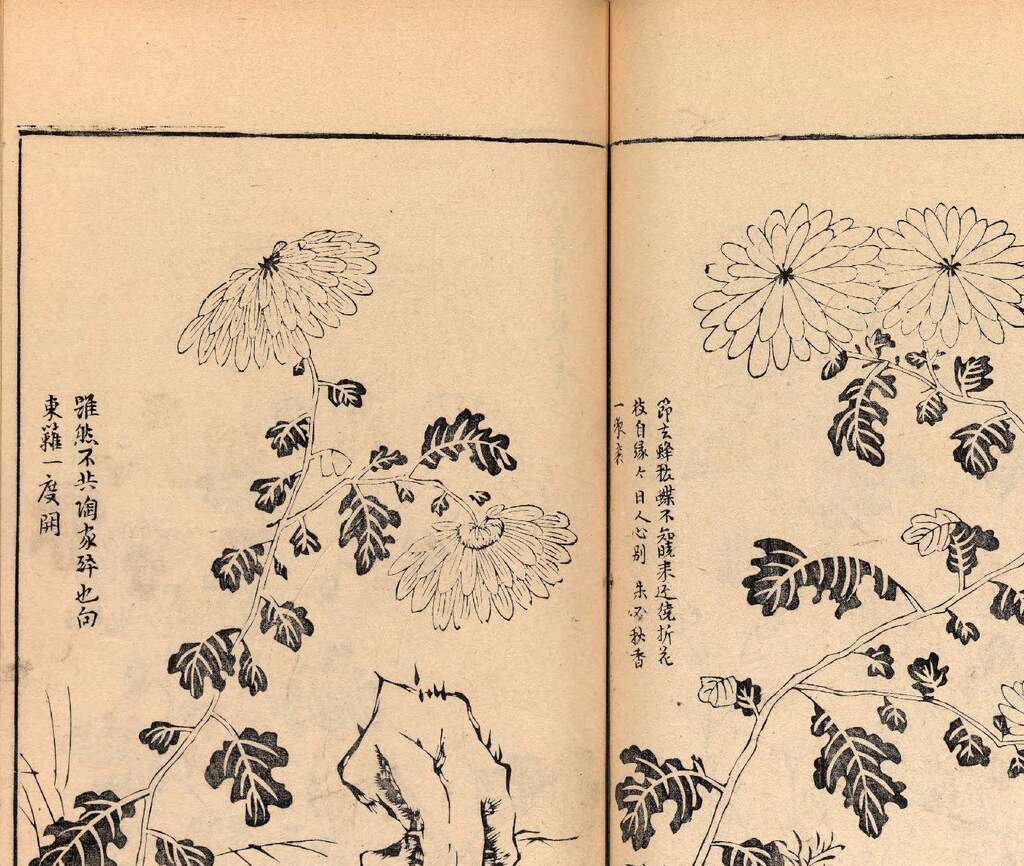 p1706550381_217type_jpeg_size_1600_118_end